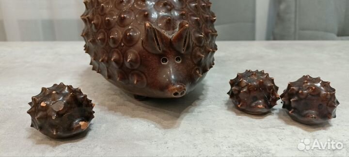 Семейство ёжиков