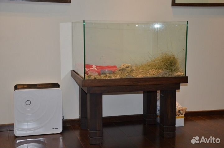 Аквариум - дендрариум