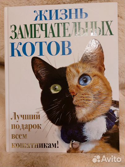 Коты.Жизнь замечательных котов