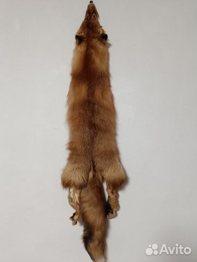 Шкуры лисы
