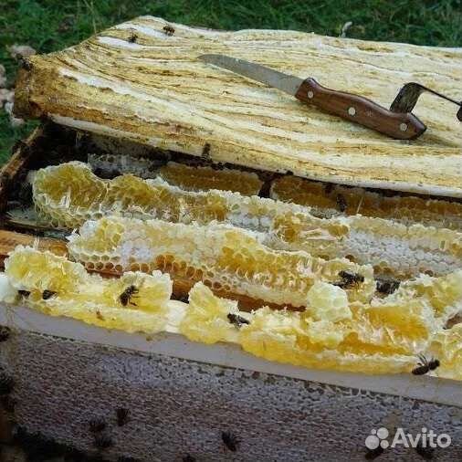Мёд разнотравье