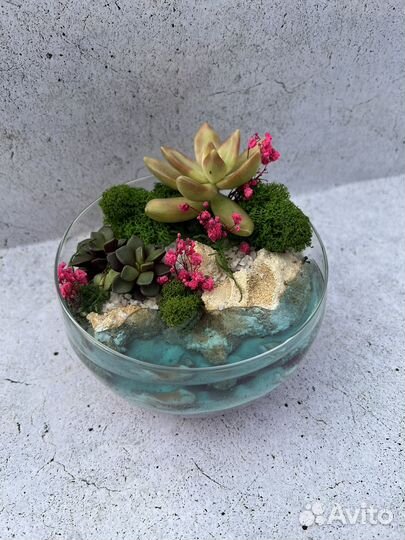 Мастер класс по изготовлению флорариума