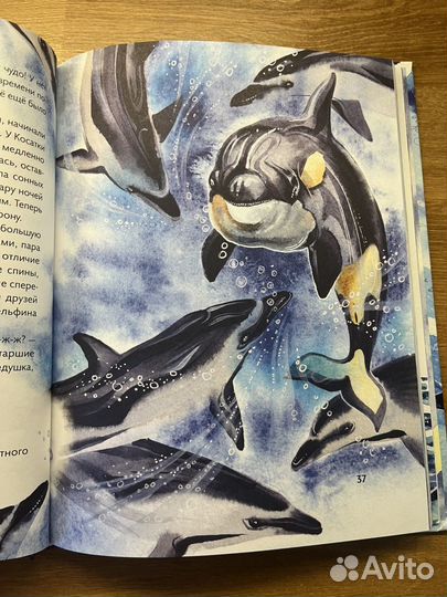 Маленькая косатка, Нагайлик, книга