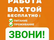 Вахта для всех / принимаем пенсионеров / Упаковщик