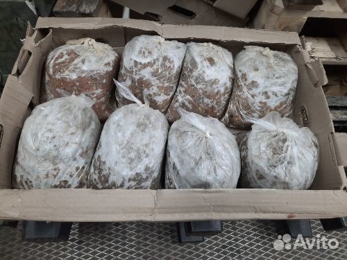 Продам фарш рыбный