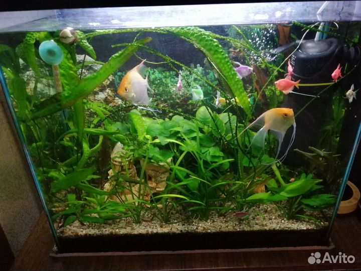 Аквариум 110 л