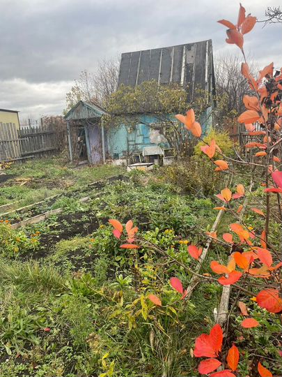 Дача 13 м² на участке 3 сот.