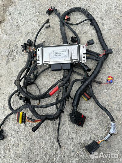 Эбу микас 12