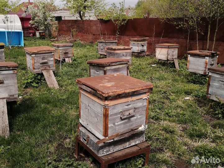 Продам пчелиные ульи