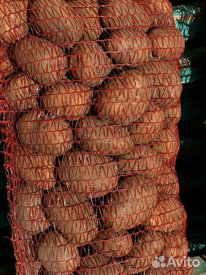 Продам картофель домашний