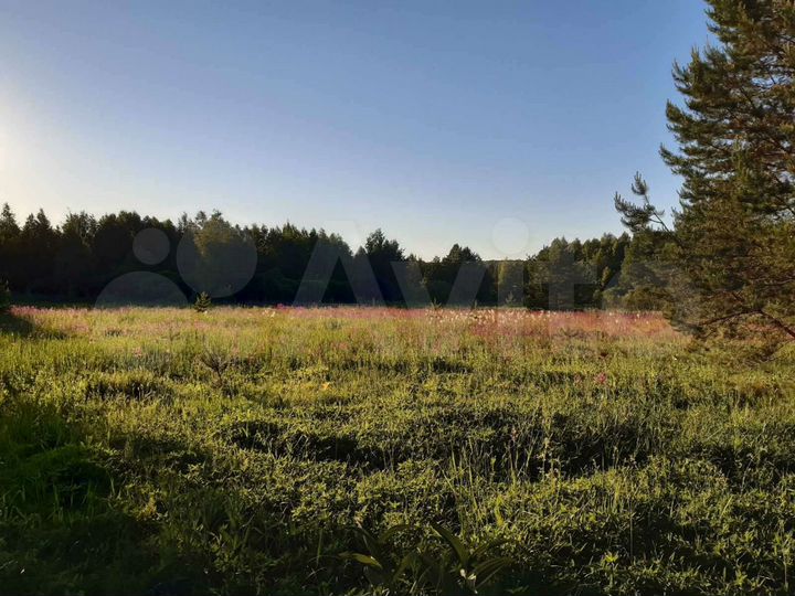 Участок 8 сот. (ИЖС)