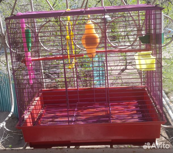 Клетка для попугая бу 40х40