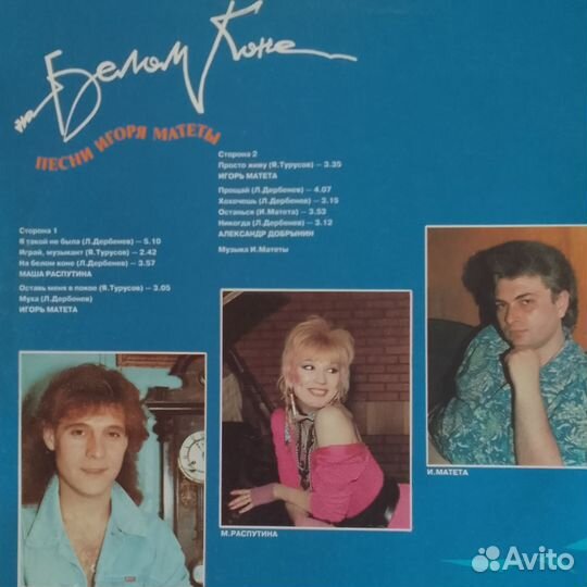 Виниловая пластинка