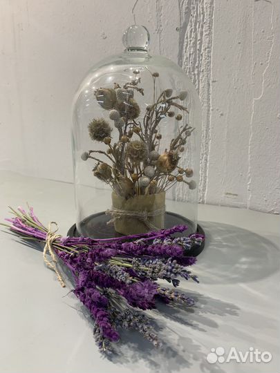 Композиции из сухоцветов, сухоцаеты, букеты