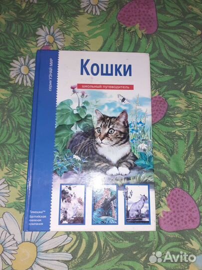 Книжки