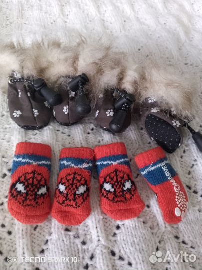 Носочки и сапожки для собачки