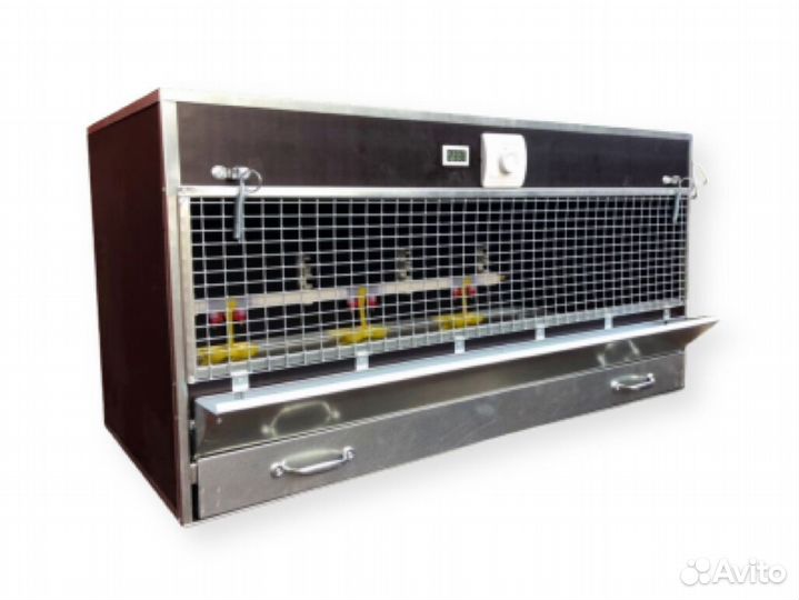 Брудер для цыплят /Один ярус