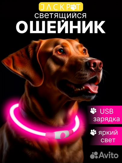 Светящийся ошейник для собак