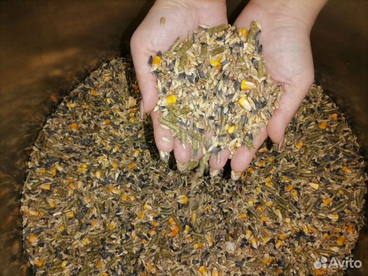 Корм для домашних грызунов