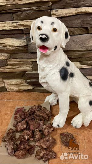 Сушёные лакомства для собак