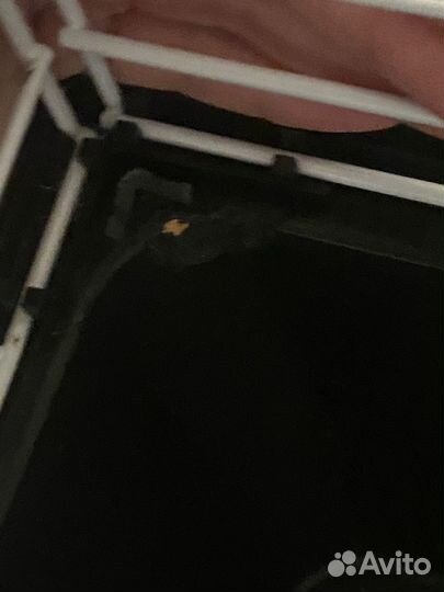 Большая клетка для грызунов casita 80