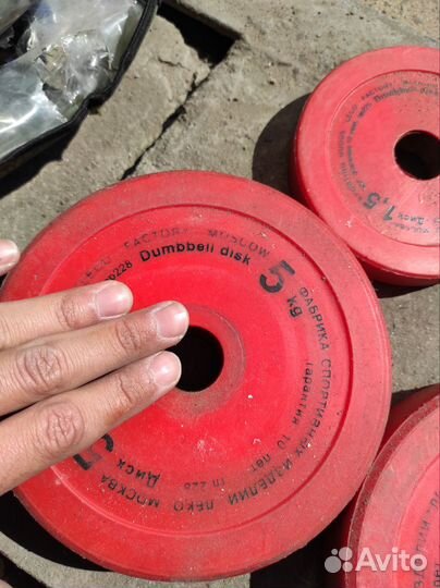 Гантеля разборная