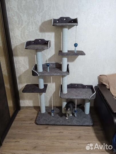 Когтеточка