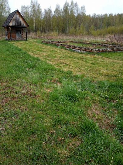 Участок 25 сот. (ИЖС)