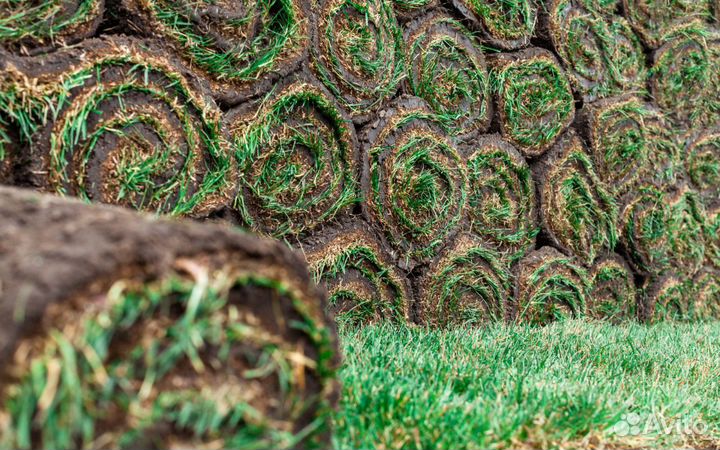 Паллеты газона рулонного