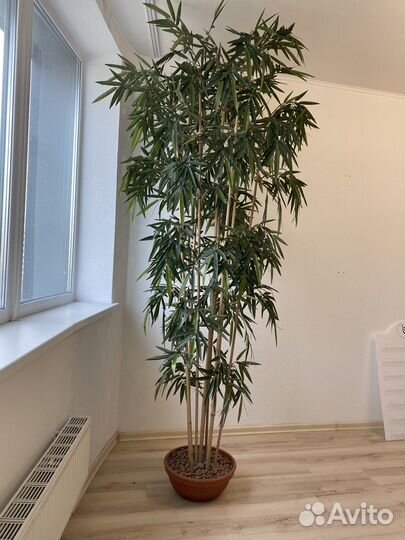 Искусственное дерево Бамбук 2,52см