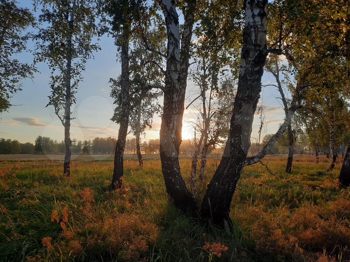 Участок 1 сот. (ИЖС)