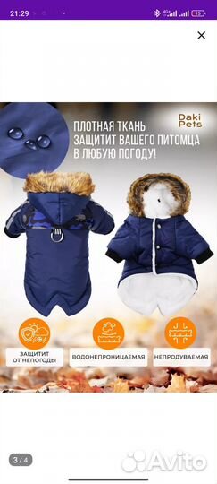 Зимний костюм для собак