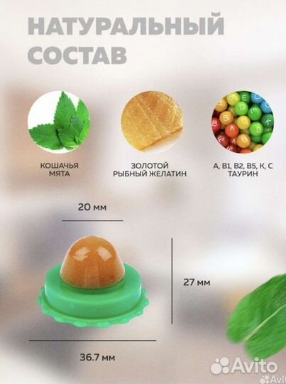 Кошачий мятный леденец/ Кошачья мята
