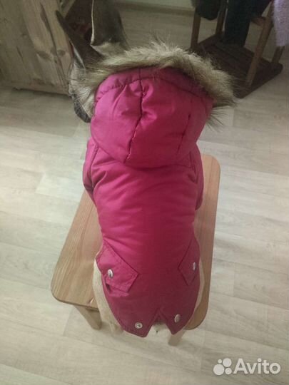 Зимняя куртка для собаки