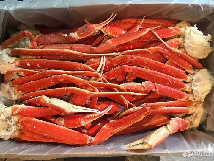 Краб Стригун