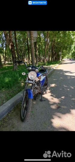 Alpha rx110