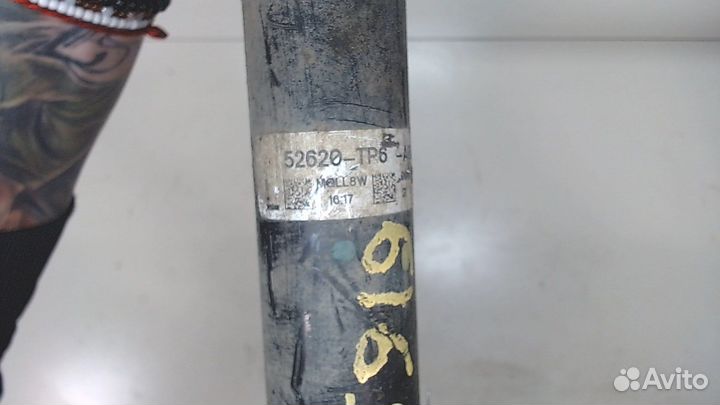 Амортизатор подвески Honda Crosstour, 2010