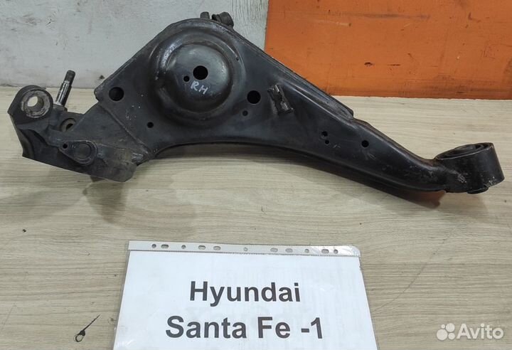 Рычаг задней подвески Hyundai Santa Fe-1, 2003г