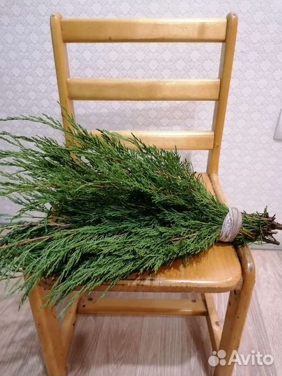 Банный веник из можжевельника казацкого