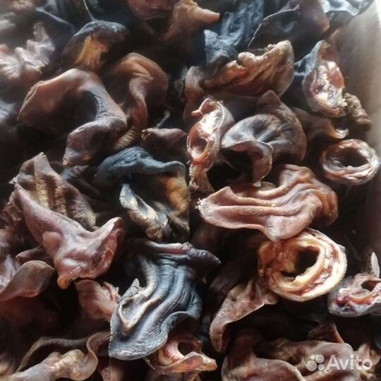 Корм, лакомства для собак