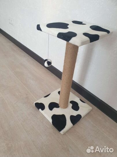 Когтеточка