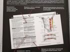 Анатомия Неттера атлас раскраска объявление продам