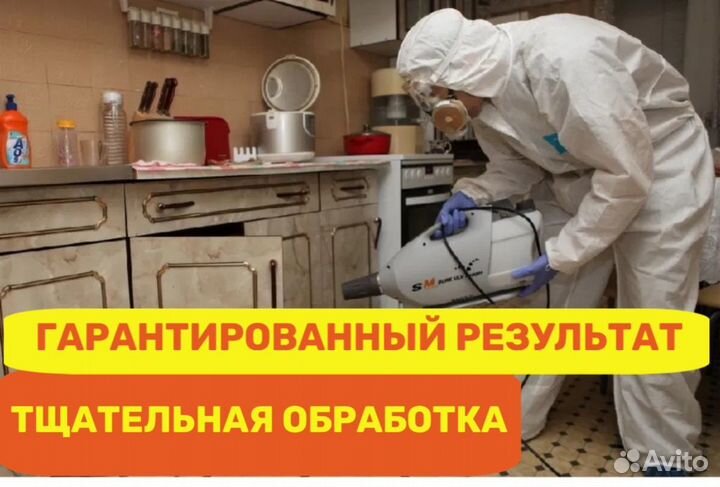 Уничтожение тараканов клопов дезинфекция