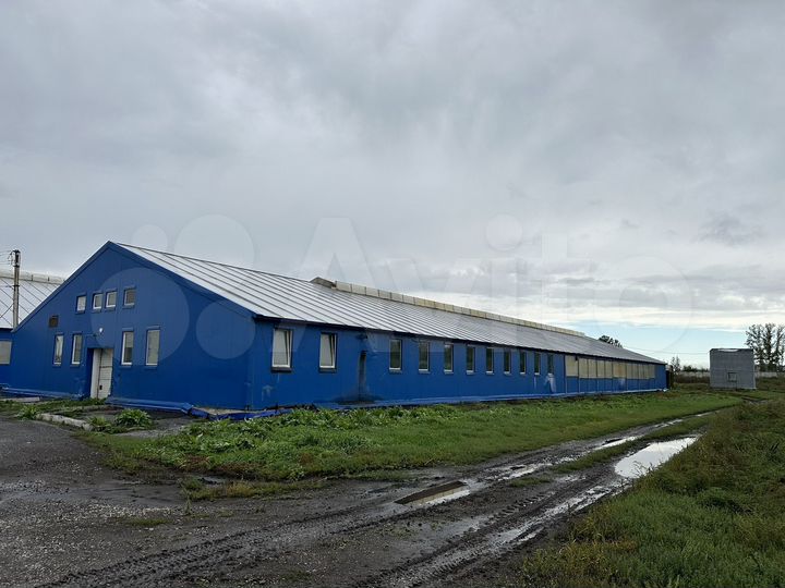 Немецкий животноводческий комплекс