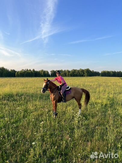 Занятия верховой ездой