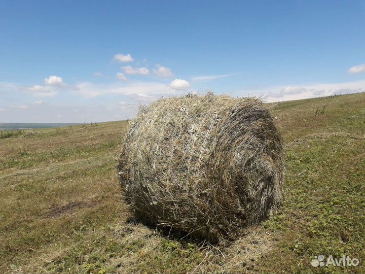 Сено в рулонах