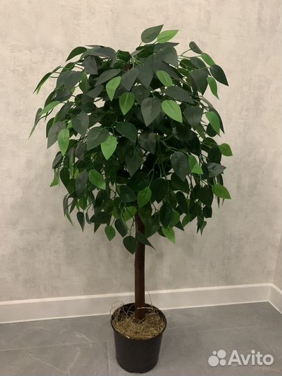 Искусственные цветы, деревья