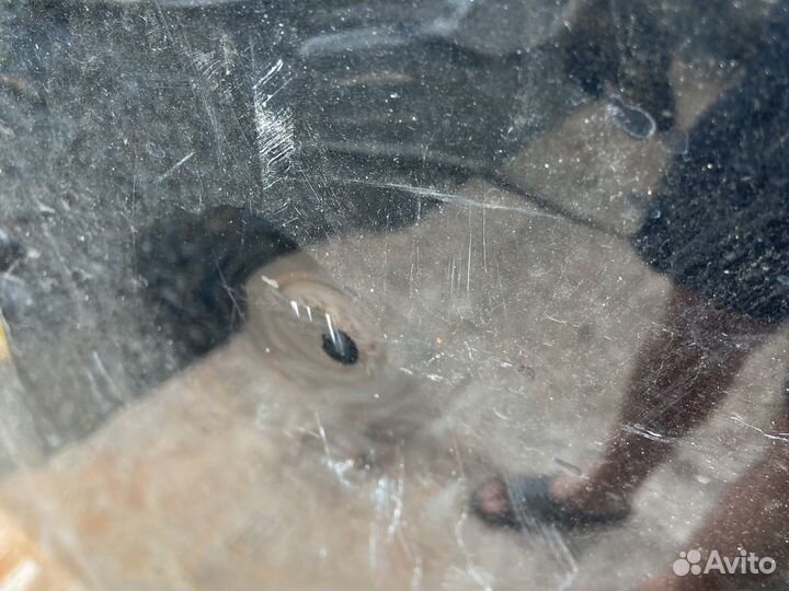 Капот chevrolet lacetti хэтчбек