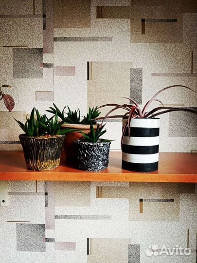 Суккуленты в авторском кашпо