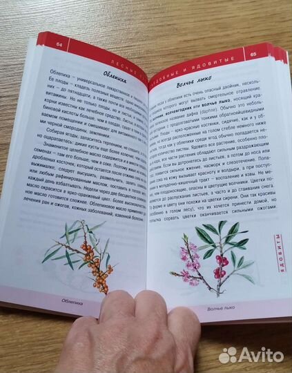 Книги. Целебные травы